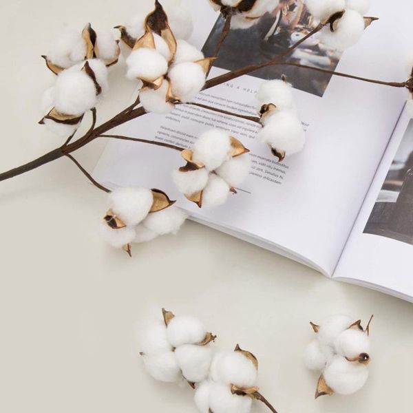 decorative flowers & wreaths cotton stems 6 loaded 10 balls 55cm farmhouse display filler lace decoration simulation dried flower long branc
decorative flowers & wreaths cotton stems 6 loaded 10 balls 55cm farmhouse display filler lace decoration simulation dried flower long branc