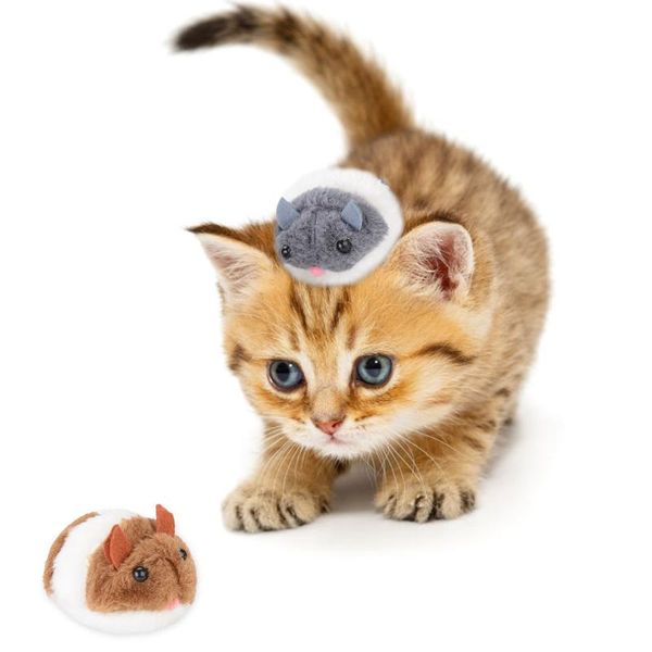 cat toys creative bite-resistant mice shape vibrating moving interactive toy chew pet supplies
cat toys creative bite-resistant mice shape vibrating moving interactive toy chew pet supplies
