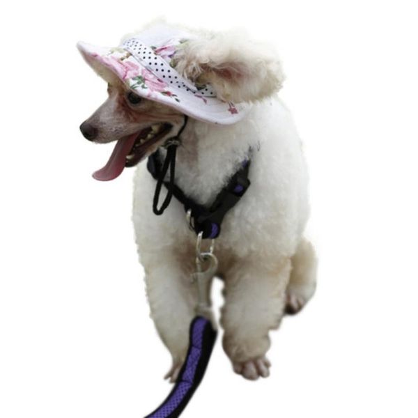 dog apparel pet supplies net cloth breathable sun hat dogs & cats formal stripes animals
dog apparel pet supplies net cloth breathable sun hat dogs & cats formal stripes animals
