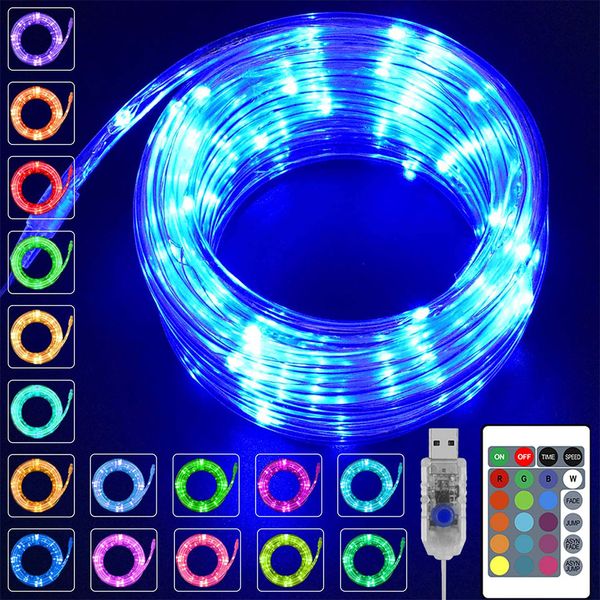 led strings rope lights colors changing indoor light usb powered multi color twinkle tube fairy lighting with remote for christmas weddi
led strings rope lights colors changing indoor light usb powered multi color twinkle tube fairy lighting with remote for christmas weddi
