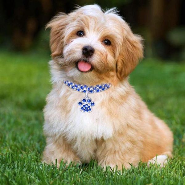 dog collars & leashes est collar shape cute perro rhinestone pet necklace for puppy cat adjustable supplies
dog collars & leashes est collar shape cute perro rhinestone pet necklace for puppy cat adjustable supplies