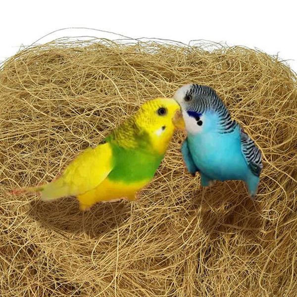 bird products natural coconut fiber for nest playing chewing decorating excellent toy nesting easier garden use cages
bird products natural coconut fiber for nest playing chewing decorating excellent toy nesting easier garden use cages