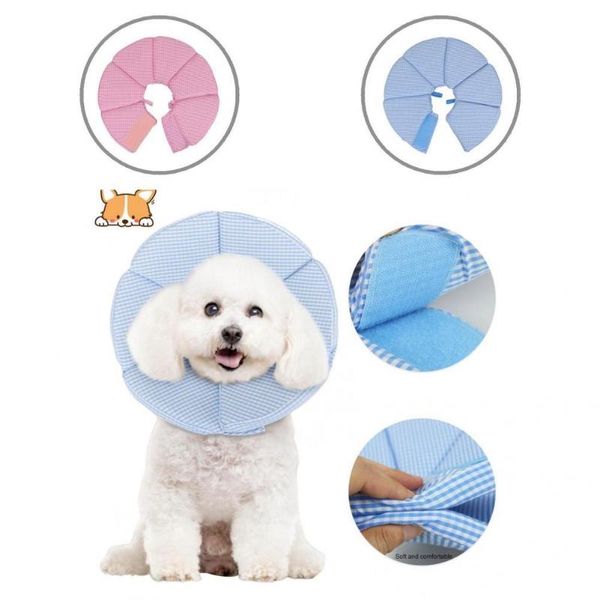 dog collars & leashes wear-resistant reusable post dogs cats neck circle pet supplies
dog collars & leashes wear-resistant reusable post dogs cats neck circle pet supplies