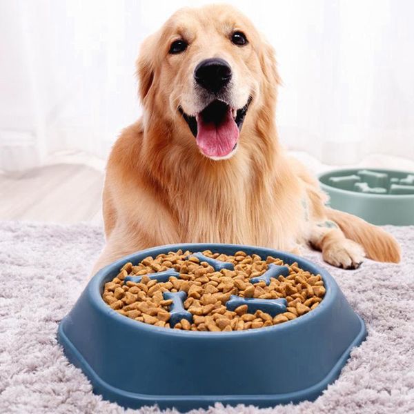 dog bowls & feeders portable pet slow feeder bowl bath supplies accessories for cat pets
dog bowls & feeders portable pet slow feeder bowl bath supplies accessories for cat pets
