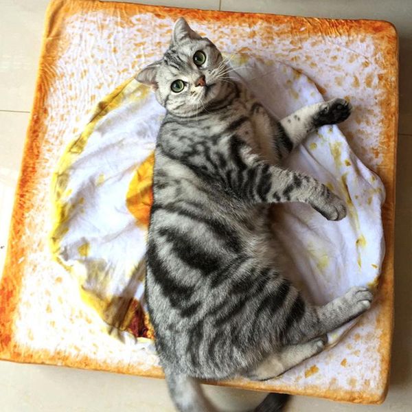 cat beds & furniture creative omelette pet blankets puppy short plush dog bed durable warm poached eggs blanket mats for plaid
cat beds & furniture creative omelette pet blankets puppy short plush dog bed durable warm poached eggs blanket mats for plaid