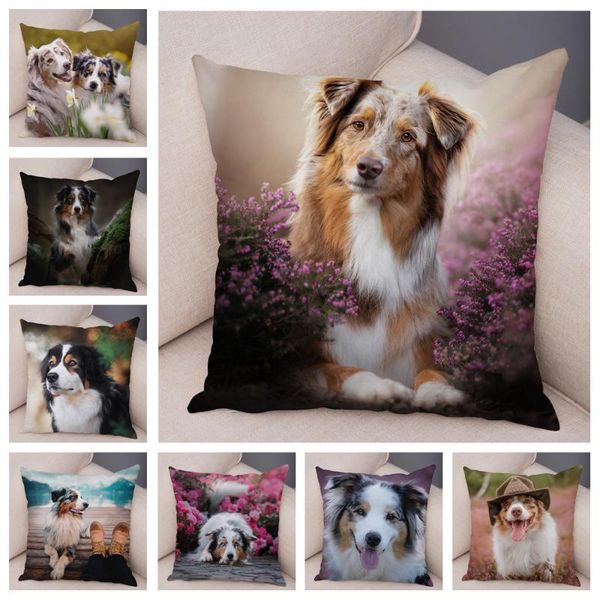 cushion/decorative pillow cute dog animal case covers decor pet cushion cover for sofa home super soft short plush australian shepherd pillo
cushion/decorative pillow cute dog animal case covers decor pet cushion cover for sofa home super soft short plush australian shepherd pillo