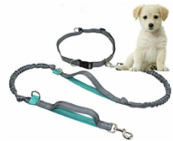 dog collars & leashes pet cat car seat belt adjustable harness nylon seatbelt lead leash dogs travel clip supplies
dog collars & leashes pet cat car seat belt adjustable harness nylon seatbelt lead leash dogs travel clip supplies