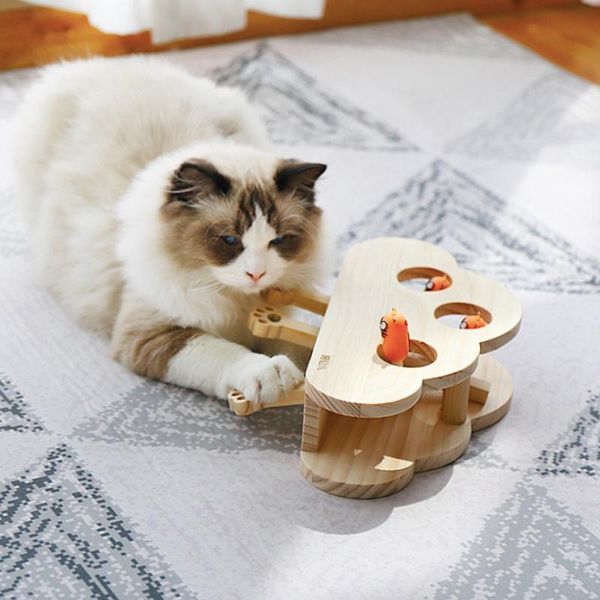 cat toys lovely wood interactive play toy catch hunt cute puppy pets pet supplies cats games gift
cat toys lovely wood interactive play toy catch hunt cute puppy pets pet supplies cats games gift