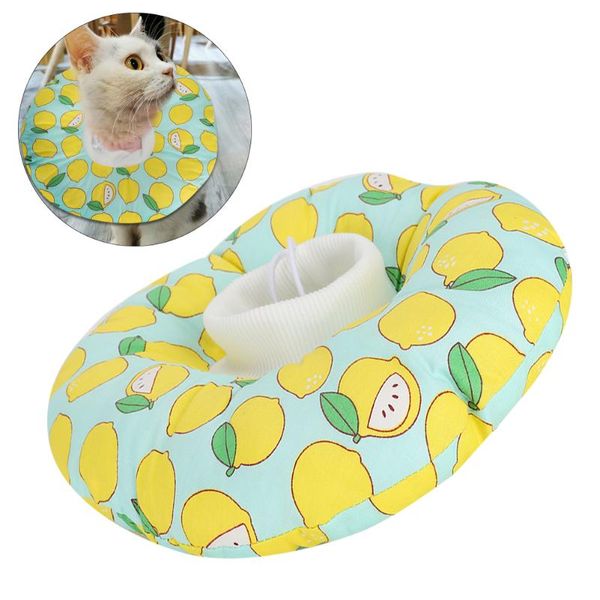 cat collars & leads pet adjustable soft protection collar elizabeth circle posration anti-licking prevent bite
cat collars & leads pet adjustable soft protection collar elizabeth circle posration anti-licking prevent bite