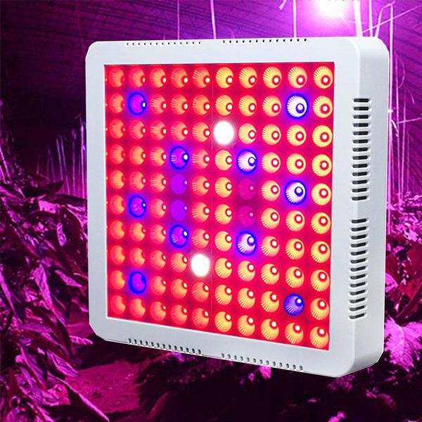 grow tent lamp 1000w phyto for plants led light full spectrum fitolamp indoor seedling plant lights
grow tent lamp 1000w phyto for plants led light full spectrum fitolamp indoor seedling plant lights
