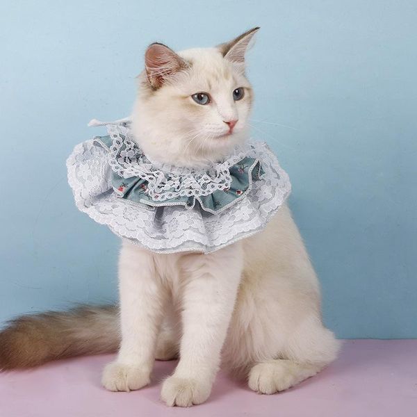 cat collars & leads pet bib fashion adjustable cats necklace scarf cute style puppy lace flower for small middle dog kitten
cat collars & leads pet bib fashion adjustable cats necklace scarf cute style puppy lace flower for small middle dog kitten