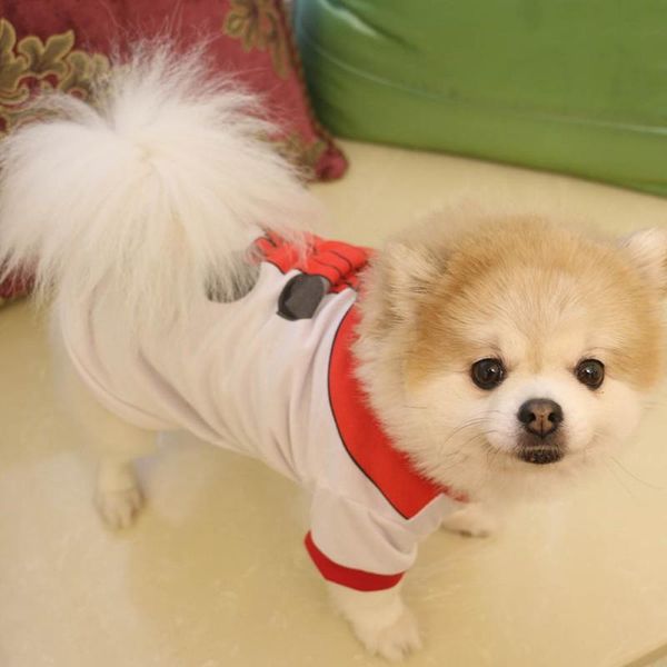 dog apparel 2021 christmas clothing pet winter vest t shirt clothes puppy warm coats jackets small dogs
dog apparel 2021 christmas clothing pet winter vest t shirt clothes puppy warm coats jackets small dogs
