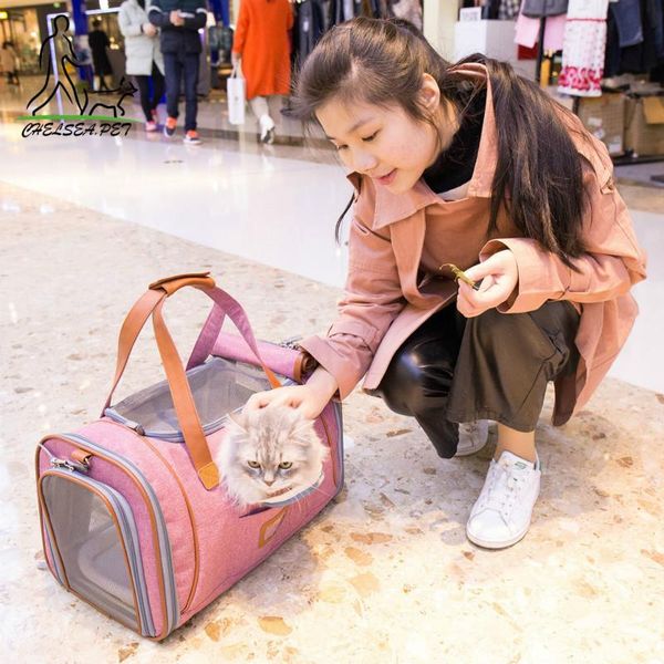 dog car seat covers cat and pet bag out to carry a travel cross oxford cloth linen
dog car seat covers cat and pet bag out to carry a travel cross oxford cloth linen