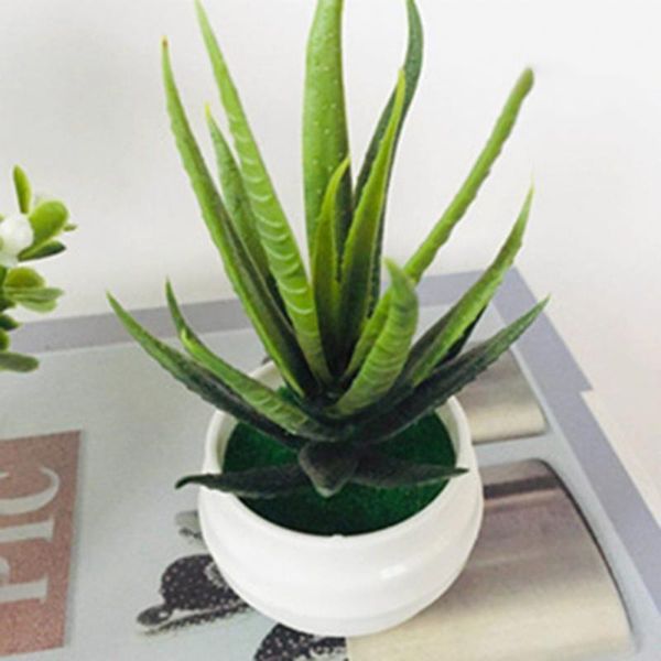 decorative flowers & wreaths mini artificial aloe plants bonsai simulation potted plant perfect plastic display mold home decor
decorative flowers & wreaths mini artificial aloe plants bonsai simulation potted plant perfect plastic display mold home decor