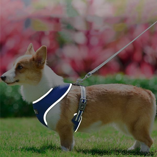breathable mesh for the new pet dog's chest harness reflective traction rope for the dog's chest harness four colors
breathable mesh for the new pet dog's chest harness reflective traction rope for the dog's chest harness four colors