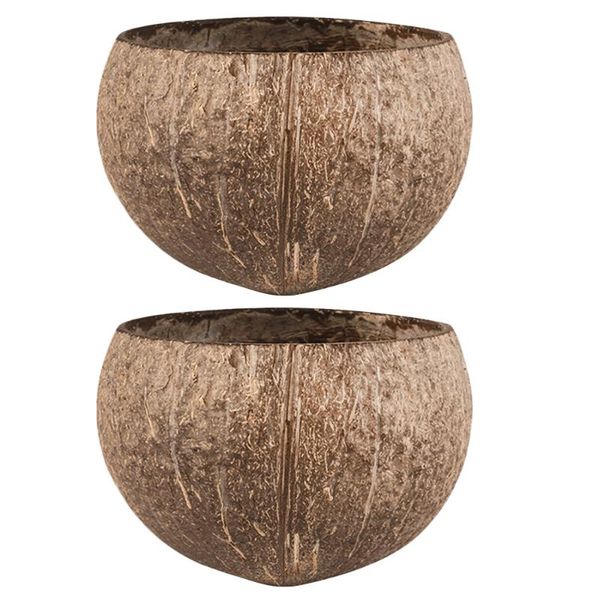 other bird supplies 2pcs small animals coconut shell feeder hamster feeding bowls breeding nest
other bird supplies 2pcs small animals coconut shell feeder hamster feeding bowls breeding nest