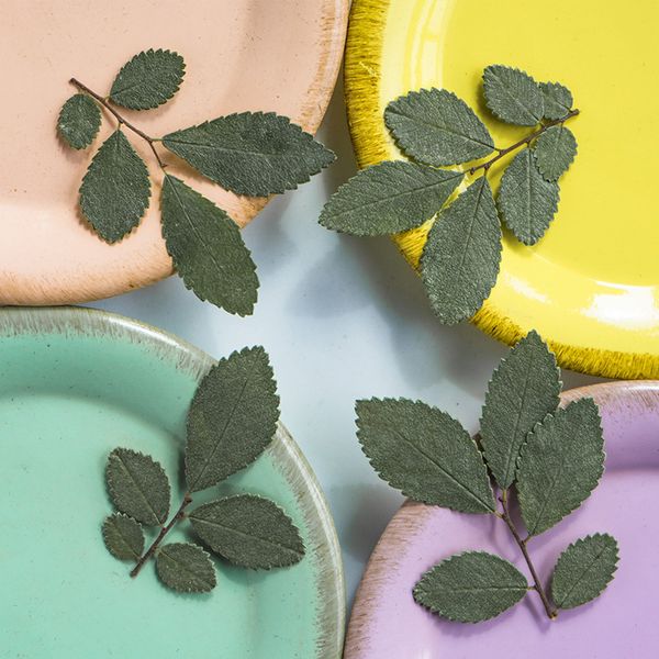 elm leaf real flower embossing children's teaching plant specimen material drop glue dry mobile phone case diy festival gift design
elm leaf real flower embossing children's teaching plant specimen material drop glue dry mobile phone case diy festival gift design