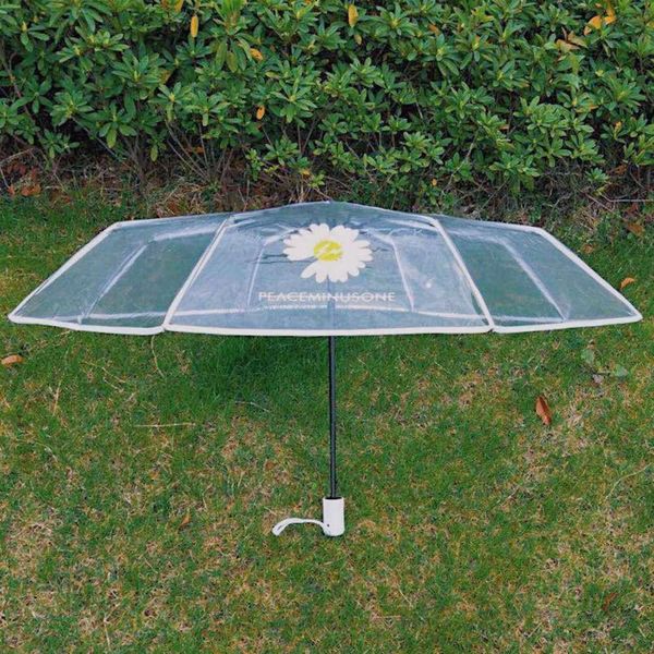 daisy umbrella folding dg quanzhilong same full automatic net red transparent thickening students
daisy umbrella folding dg quanzhilong same full automatic net red transparent thickening students