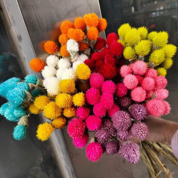 decorative flowers & wreaths 1 bouquet strawberry fruit real dried flower for diy craft wedding party home arrangement decoration
decorative flowers & wreaths 1 bouquet strawberry fruit real dried flower for diy craft wedding party home arrangement decoration