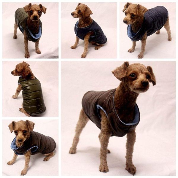 dog apparel pet puppy sleeveless coat dogs cotton padded thickening autumn winter vest
dog apparel pet puppy sleeveless coat dogs cotton padded thickening autumn winter vest