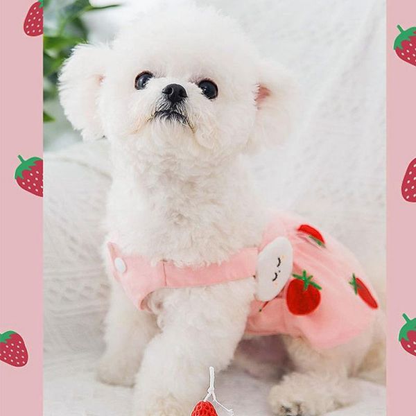 cute cat dresses print strawberry kitten puppy princess dress apparel costume clothing comfortable breathable pet products costumes
cute cat dresses print strawberry kitten puppy princess dress apparel costume clothing comfortable breathable pet products costumes