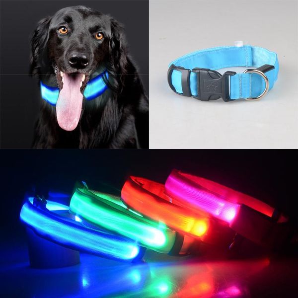 dog collars & leashes led glowing collar flashing nylon luminous safety for dogs supplies pet products accessories light
dog collars & leashes led glowing collar flashing nylon luminous safety for dogs supplies pet products accessories light