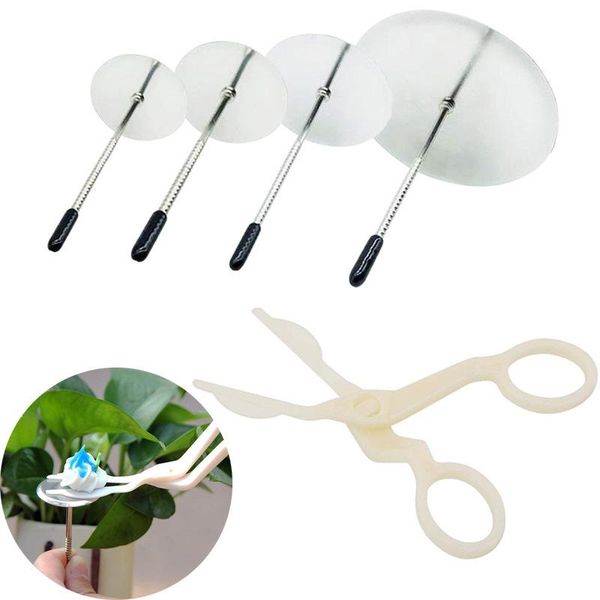 fondant flower cake decorating set stand nail cream scissors for icing transfer tools baking & pastry
fondant flower cake decorating set stand nail cream scissors for icing transfer tools baking & pastry