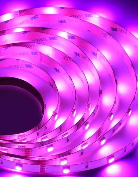 4m 5m waterproof rgb led strip light dc12v 60leds/m flexible lighting ribbon tape white/warm white/blue strips
4m 5m waterproof rgb led strip light dc12v 60leds/m flexible lighting ribbon tape white/warm white/blue strips