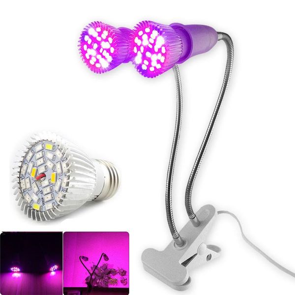 full spectrum led grow light plant flower lighting bulb lamp set holder clip for room indoor green house vegetable phyto lights
full spectrum led grow light plant flower lighting bulb lamp set holder clip for room indoor green house vegetable phyto lights