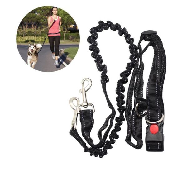 running dog leash nylon hand y pet products dogs harness collar jogging lead adjustable waist leashes traction belt rope collars &
running dog leash nylon hand y pet products dogs harness collar jogging lead adjustable waist leashes traction belt rope collars &