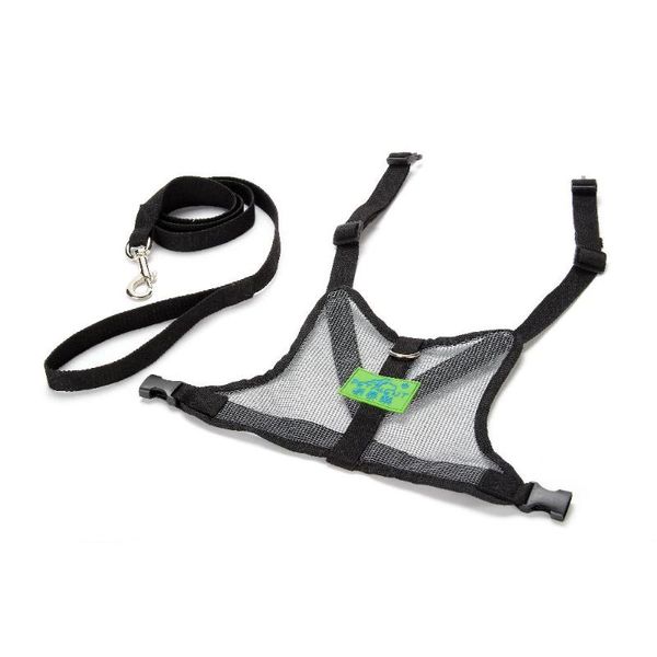 petalent arrival high strength mesh style dog leash vest, black color car seat covers
petalent arrival high strength mesh style dog leash vest, black color car seat covers