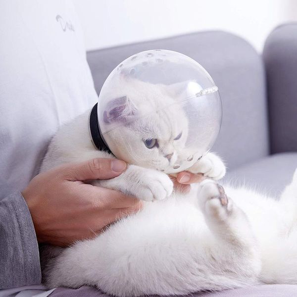cat costumes muzzle anti bite mask for bath biting proof of breathable muzzles elizabeth circle grooming supplies
cat costumes muzzle anti bite mask for bath biting proof of breathable muzzles elizabeth circle grooming supplies