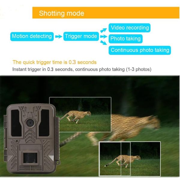 cameras mxlc hunting game camera with ir night vision motion activated for outdoor wildlife monitoring home security
cameras mxlc hunting game camera with ir night vision motion activated for outdoor wildlife monitoring home security
