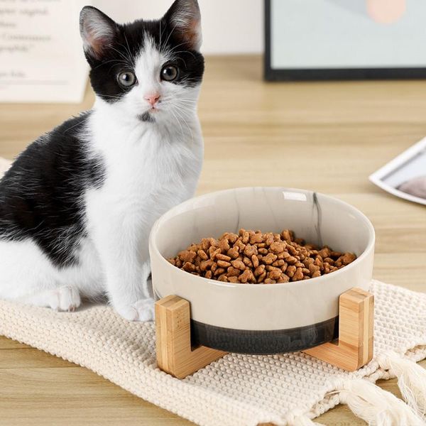 cat bowls & feeders ceramic bowl dish with wood stand pet dogs food water feeder cats puppy small feeding accessories supplies
cat bowls & feeders ceramic bowl dish with wood stand pet dogs food water feeder cats puppy small feeding accessories supplies