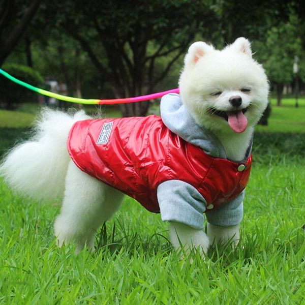 dog apparel vest coat denim cloth cotton winter jacket thickening warm puppy clothes hooded for pet
dog apparel vest coat denim cloth cotton winter jacket thickening warm puppy clothes hooded for pet