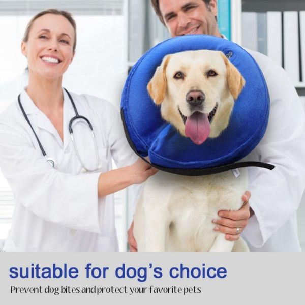 dog collars & leashes 2021 inflatable pet pvc small medium large zipper plush adjustable anti-bite wound healing protective neck ring
dog collars & leashes 2021 inflatable pet pvc small medium large zipper plush adjustable anti-bite wound healing protective neck ring