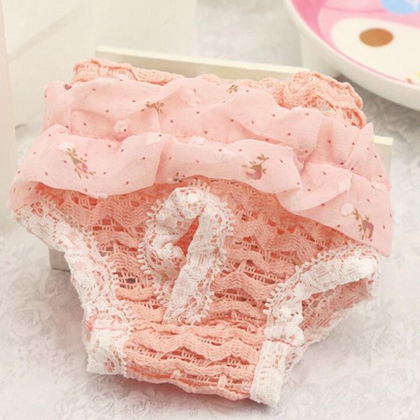 dog apparel s/m/l sweet lace pet hysiological pants summer breathable diaper sanitary panties washable female shorts ho
dog apparel s/m/l sweet lace pet hysiological pants summer breathable diaper sanitary panties washable female shorts ho