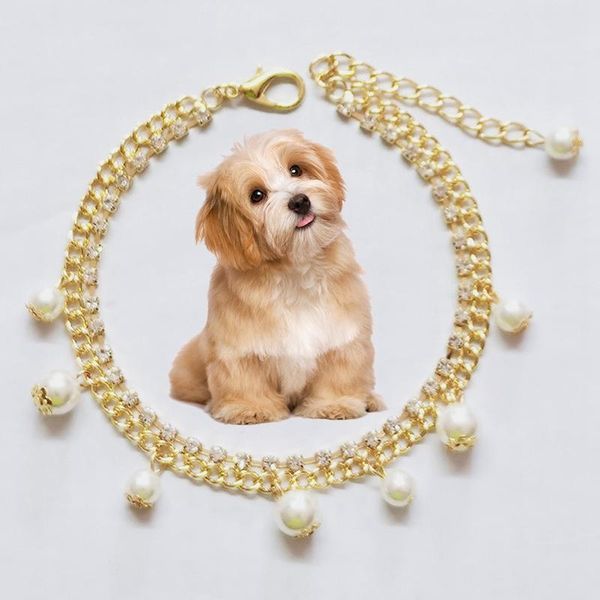 cat collars & leads pet necklace adjustable dog collar puppy kitten rhinestone imitation pearl for pets supplies
cat collars & leads pet necklace adjustable dog collar puppy kitten rhinestone imitation pearl for pets supplies