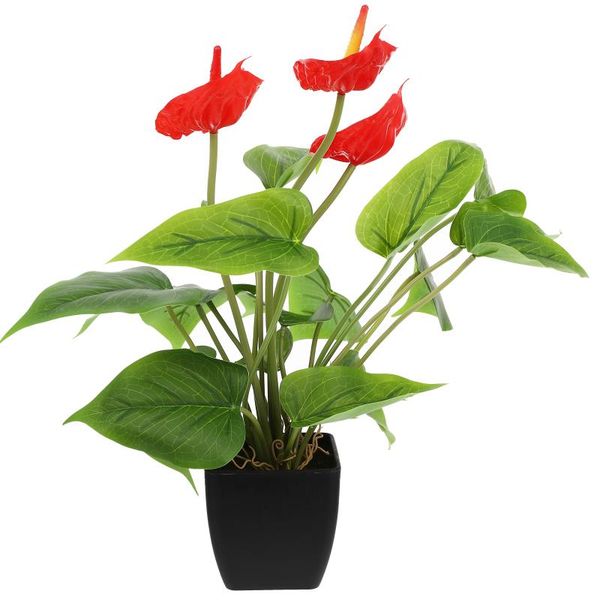 decorative flowers & wreaths 1pc artificial anthurium plant bonsai potted home decoration
decorative flowers & wreaths 1pc artificial anthurium plant bonsai potted home decoration
