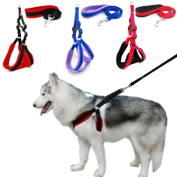 dog harness vest leash solid breathable mesh pet produts adjustbale outdoor walking collar for medium large dogs collars & leashes
dog harness vest leash solid breathable mesh pet produts adjustbale outdoor walking collar for medium large dogs collars & leashes
