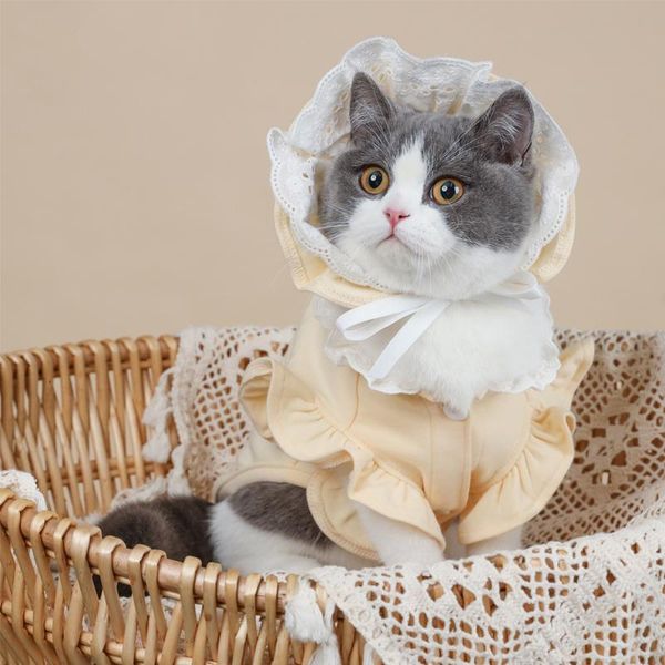cat costumes pet clothes summer thin anti-linting cotton sleeveless vest kitten persian puppet blue jin jira suit
cat costumes pet clothes summer thin anti-linting cotton sleeveless vest kitten persian puppet blue jin jira suit