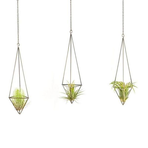 triangle flower bronze holder geometric three-side hollow frame plant support pot without soil for tillandsia airplants other home decor
triangle flower bronze holder geometric three-side hollow frame plant support pot without soil for tillandsia airplants other home decor