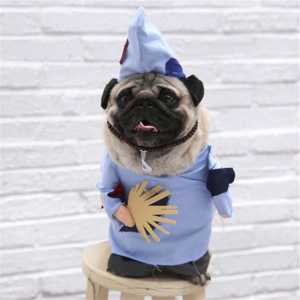 the dog clothes dog clothes tiktok summer wear, shake the same tactic, teddy cat, jimmy, pet costume.
the dog clothes dog clothes tiktok summer wear, shake the same tactic, teddy cat, jimmy, pet costume.