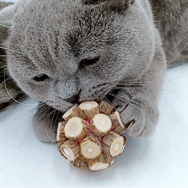 cat toys chew ball catnip bite proof self-amused play pet toy with bell chase natural
cat toys chew ball catnip bite proof self-amused play pet toy with bell chase natural