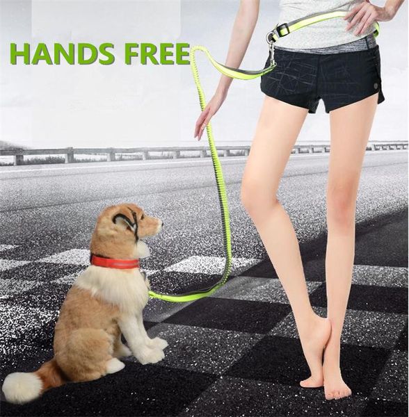 nylon pet dogs leash running elasticity hand safety reflective jogging lead and adjustable waist rope dog collars & leashes
nylon pet dogs leash running elasticity hand safety reflective jogging lead and adjustable waist rope dog collars & leashes