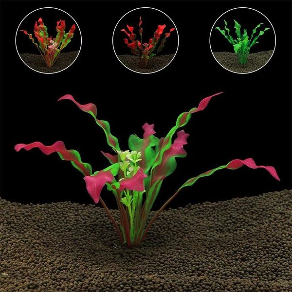 decorations fish tank decoration simulation aquatic animals box landscape set plastic flower water grass crafts gift
decorations fish tank decoration simulation aquatic animals box landscape set plastic flower water grass crafts gift