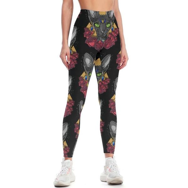 sphynx cat leggings wholesale drawing yoga pants casual teens highwaisted squat outfit
sphynx cat leggings wholesale drawing yoga pants casual teens highwaisted squat outfit