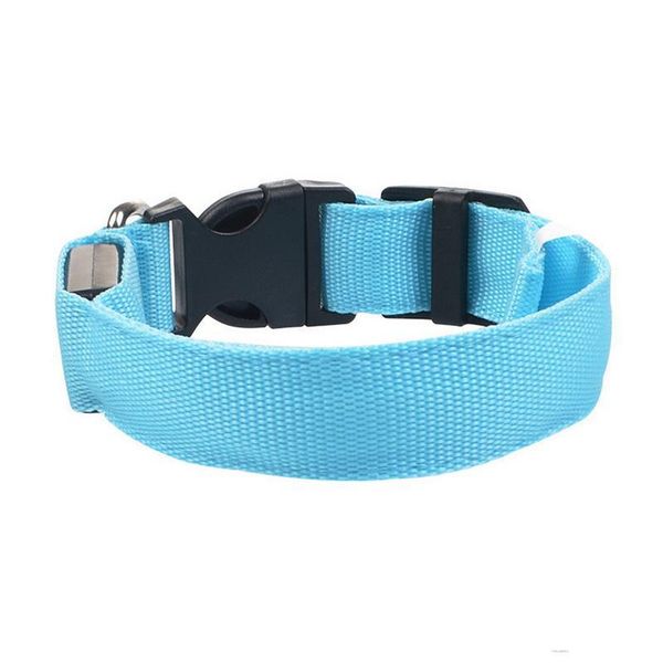 dog collars & leashes 11.11 2021 collar led pet light night safety flashing accessories adjustable supplies
dog collars & leashes 11.11 2021 collar led pet light night safety flashing accessories adjustable supplies