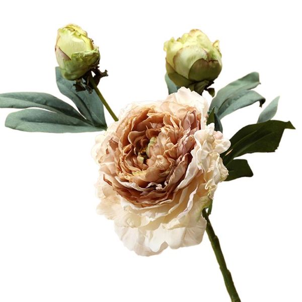 decorative flowers & wreaths nordic style simulated peony pink white wedding home decoration garden core-spun 64cm 3 heads silk
decorative flowers & wreaths nordic style simulated peony pink white wedding home decoration garden core-spun 64cm 3 heads silk