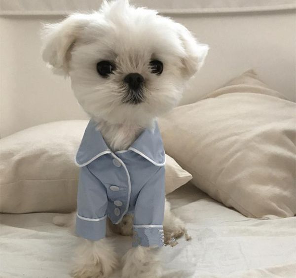 dog apparel spring pet pajamas for small dogs chihuahua soft puppy vests t shirt cotton cat costumes summer clothes jacket coats
dog apparel spring pet pajamas for small dogs chihuahua soft puppy vests t shirt cotton cat costumes summer clothes jacket coats